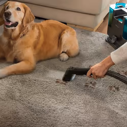 Cecotec Conga PopStar 3000 CarpetClean macchina per pulire il tappeto Portatile Nero - Vista aggiuntiva 6
