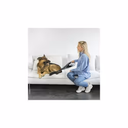 Cecotec 05540 aspirapolvere senza filo Nero Senza sacchetto - Vista aggiuntiva 8
