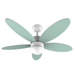 Cecotec 05878 ventilatore Verde, Bianco