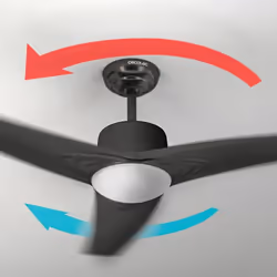 Cecotec 05943 ventilatore Antracite, Grigio - Vista aggiuntiva 6