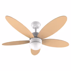 Cecotec 05998 ventilatore Arancione - Vista aggiuntiva 2