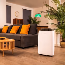 Cecotec BigDry 10000 Expert Connected 6 L 20 dB 580 W Bianco - Vista aggiuntiva 4