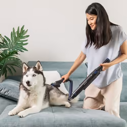 Cecotec Conga Rockstar Micro+ Animal aspirapolvere senza filo Grigio Senza sacchetto - Vista aggiuntiva 6