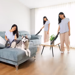 Cecotec Conga Rockstar Micro+ Animal aspirapolvere senza filo Grigio Senza sacchetto - Vista aggiuntiva 8