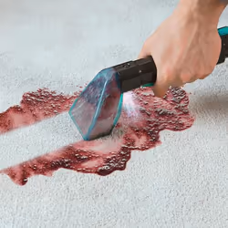 Cecotec Conga 5000 Carpet&Spot Clean XXL 0,85 L A cilindro Secco e bagnato 400 W Senza sacchetto - Vista aggiuntiva 5