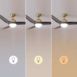 Cecotec 08489 ventilatore Nero, Oro - Vista aggiuntiva 8