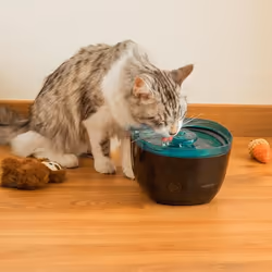 Cecotec Pumba 2200 Refresh distributore di cibo e acqua per cani e gatti Plastica Nero, Blu Universale Abbeveratoio automatico per animali domestici - Vista aggiuntiva 5