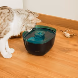 Cecotec Pumba 2200 Refresh distributore di cibo e acqua per cani e gatti Plastica Nero, Blu Universale Abbeveratoio automatico per animali domestici - Vista aggiuntiva 7