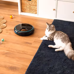 Cecotec Pumba 1600 Purrfect Meal distributore di cibo e acqua per cani e gatti Nero Gatto Alimentatore automatico per animali domestici - Vista aggiuntiva 5