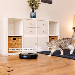 Cecotec Pumba 1600 Purrfect Meal distributore di cibo e acqua per cani e gatti Nero Gatto Alimentatore automatico per animali domestici - Vista aggiuntiva 8