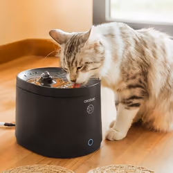 Cecotec Pumba 2500 Refresh Smart distributore di cibo e acqua per cani e gatti Plastica Nero Universale Abbeveratoio automatico per animali domestici - Vista aggiuntiva 5