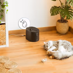 Cecotec Pumba 2500 Refresh Smart distributore di cibo e acqua per cani e gatti Plastica Nero Universale Abbeveratoio automatico per animali domestici - Vista aggiuntiva 6