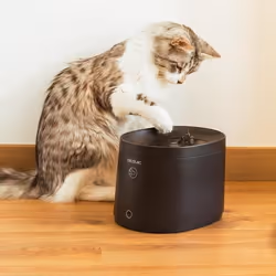 Cecotec Pumba 2500 Refresh Smart distributore di cibo e acqua per cani e gatti Plastica Nero Universale Abbeveratoio automatico per animali domestici - Vista aggiuntiva 7
