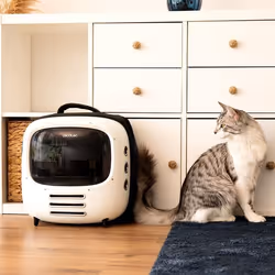 Cecotec Pumba 1800 Travel Fan Zaino porta-animali domestici - Vista aggiuntiva 5