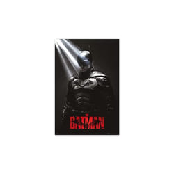 Grupo Erik - Poster dc the batman i am the shadows