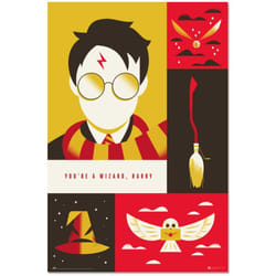 Grupo Erik - Poster harry potter 100° anniversario wb
