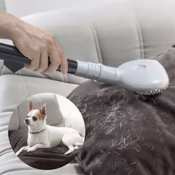 ¡ InnovaGoods ti offre le migliori novità per la tua casa, come Spazzola per Aspirapolvere Smoovah InnovaGoods ! Scopri una v ...