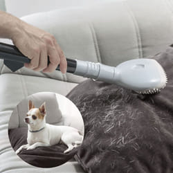 Spazzola per rimuovere i peli sottovuoto, Bianco - Innovagoods