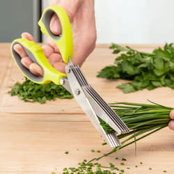 Innovagoods - Forbici de Cucina Multi-Taglio 5 in 1 fivessor, Forbici de Cucina con Lame de Taglio Sicuro e Preciso, Facile de da Usare e Pulire,