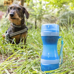 Innovagoods - Pettap 2-in-1 Pet Bottle, Water Tank 300 ml, Food 200 ml, Drinker Lid, Feeder Lid, Sealed Silicone Spill-Proof, Hanging Cord, Silicone