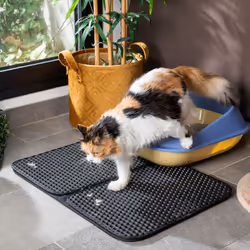 Se sei alla ricerca di novità alla moda sul mercato, ti presentiamo Tappetino per Lettiera per Gatti Clikatt InnovaGoods ! Il ...