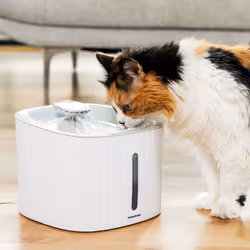 Se sei appassionato di gadget, InnovaGoods ti offre le migliori e più originali novità per la casa, auto, viaggi, bambini, te ...