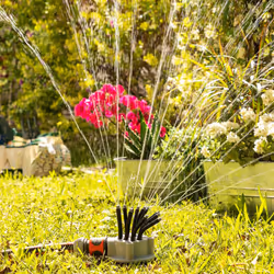 ¡ InnovaGoods ti offre le migliori novità per la tua casa, come Irrigatore da Giardino a 360º Klerdden InnovaGoods 36 getti ! ...