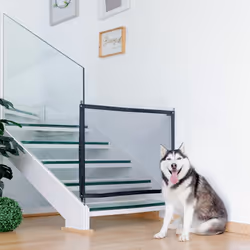 Se sei appassionato di gadget, InnovaGoods ti offre le migliori e più originali novità per la casa, auto, viaggi, bambini, te ...
