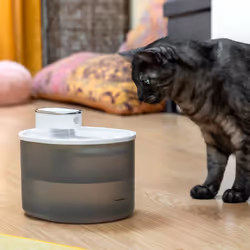 Se sei appassionato di gadget, InnovaGoods ti offre le migliori e più originali novità per la casa, auto, viaggi, bambini, te ...