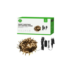 WOOX R5170 stringa di luce 40 m 400 lampada(e) LED