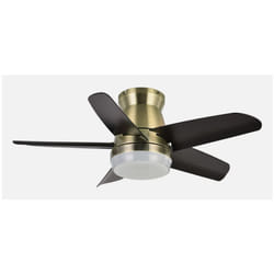 Fabrilamp 207991536 ventilatore Nero, Oro
