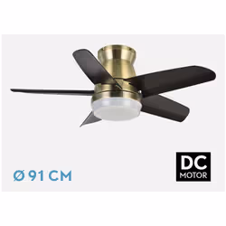 Fabrilamp 207991536 ventilatore Nero, Oro
