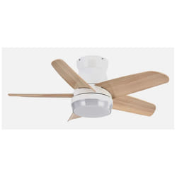 Fabrilamp 207991568 ventilatore Faggio, Bianco