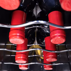 Cecotec 1250 Cantinetta termoelettrica Libera installazione Nero 12 bottiglia/bottiglie - Vista aggiuntiva 5