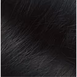 Naturtint Permanent colore per capelli Nero 170 ml