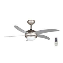 Orbegozo CP 53132 A ventilatore Grigio