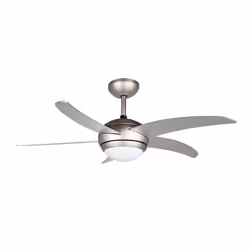 Orbegozo CP 53132 A ventilatore Grigio