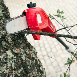 Potatore ad alta altezza batteria al litio 40V, lunghezza lama 170mm, distanza massima 265cm, passo catena 3/8' Greencut PP400L