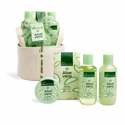 Aloe Vera confezione da 4 pezzi - Vista aggiuntiva 3