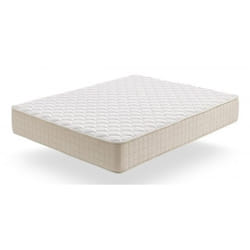 Moonia Magic Plus