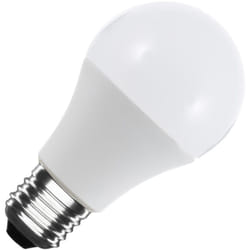 Lampadina led 12/24V E27 6W 480 lm A60 Bianco Freddo 6000K