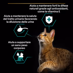 Purina Pro Plan Wet Cat Sterilised cibo secco per gatti 85 g Adulto Turchia - Vista aggiuntiva 3