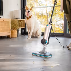 Cecotec HydroSteam 3030 Blaze Pulitore a vapore portatile 0,33 L 1500 W Grigio, Nero - Vista aggiuntiva 5