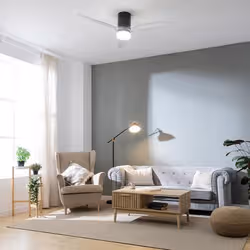 Cecotec EnergySilence Aero 5650 Nero, Trasparente - Vista aggiuntiva 3
