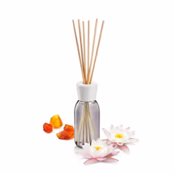 Tescoma 906534, Flacone di fragranza, Diffusore di aroma a bastoncini, 0,12 L