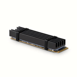 Axagon CLR-M2L10 sistema di raffreddamento per computer M.2 NVMe SSD, Unità allo stato solido Dissipatore di calore/Radiatore Nero 1 pz