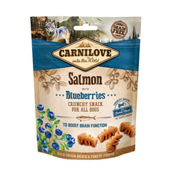 CARNILOVE 528851 200 g Universale Mirtillo, Salmone