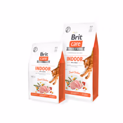 Brit 8595602540846, Adulto, Pollo, 7 kg
