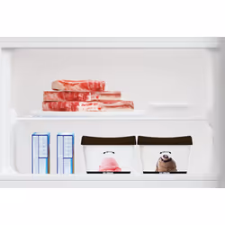 Beko RDSA240K40SN Libera installazione 223 L E Argento - Vista aggiuntiva 4