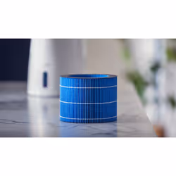 Philips Filtro di umidificazione